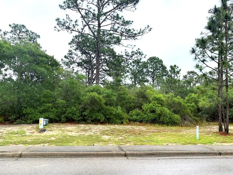 126 Anhinga Trl, Carrabelle, FL 32323 - #2