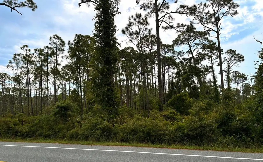 TBD Sr 30-a, Port Saint Joe, FL 32456 - #2