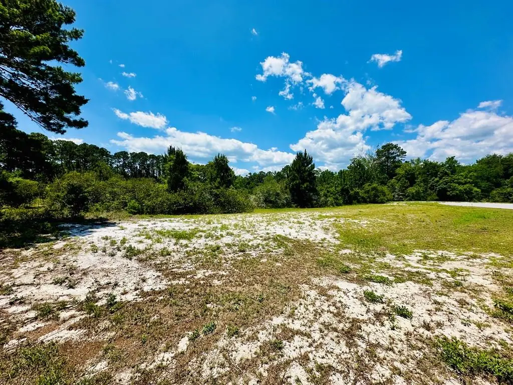 183 Lakes On The Bluff Dr, Eastpoint, FL 32328 - #1