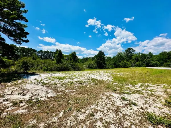 183 Lakes On The Bluff Dr, Eastpoint, FL 32328