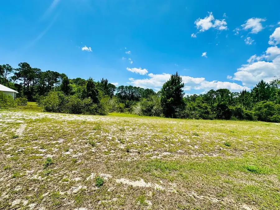 183 Lakes On The Bluff Dr, Eastpoint, FL 32328 - #3