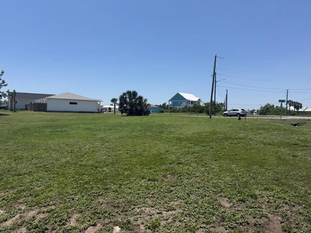 320 Hatley Dr, Mexico Beach, FL 32456 - #1