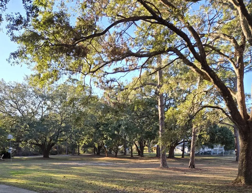 Lot 10 Craig St, Carrabelle, FL 32322 - #1