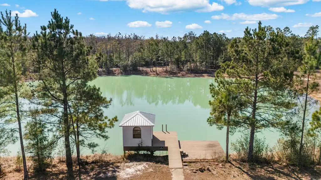 250 Blake Dr, Wewahitchka, FL 32465 - #1