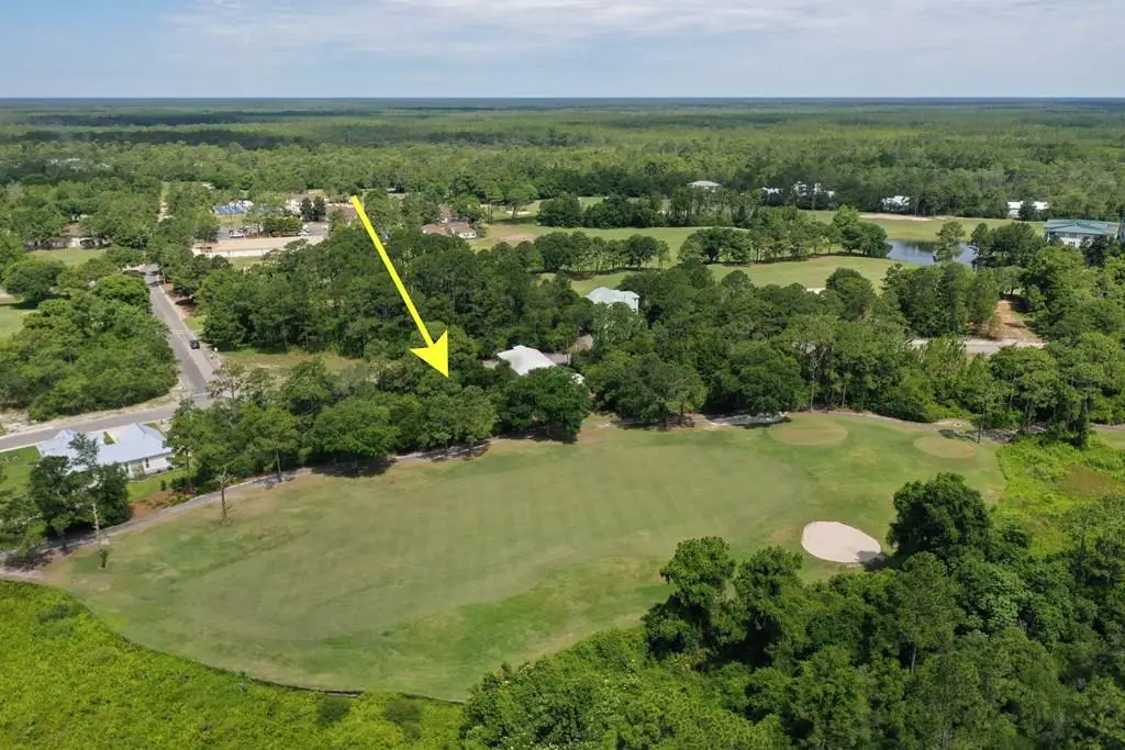 254 Royal Tern Way, Carrabelle, FL 32323 - #1