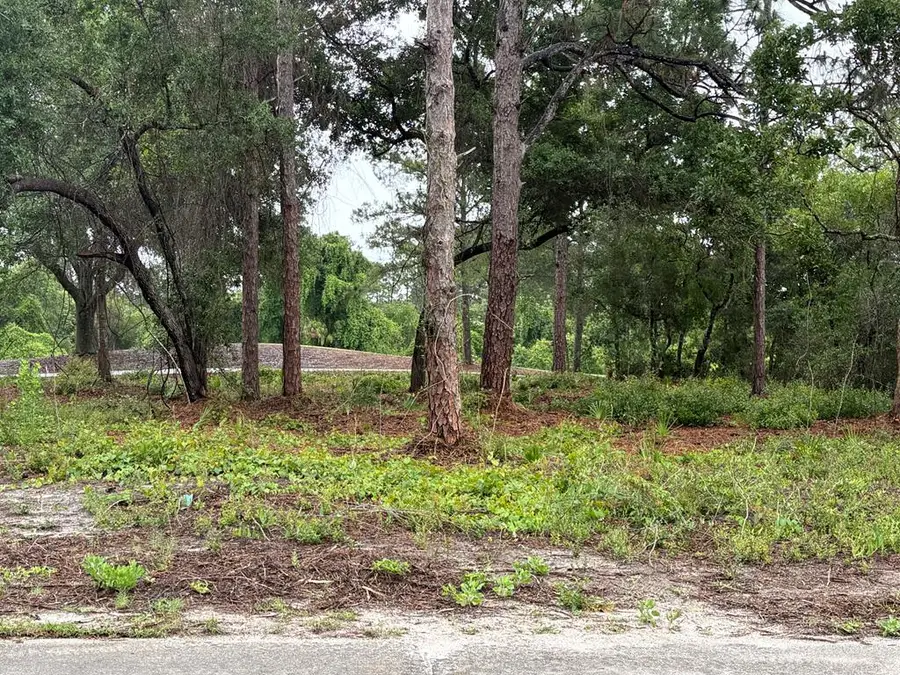 254 Royal Tern Way, Carrabelle, FL 32323 - #2