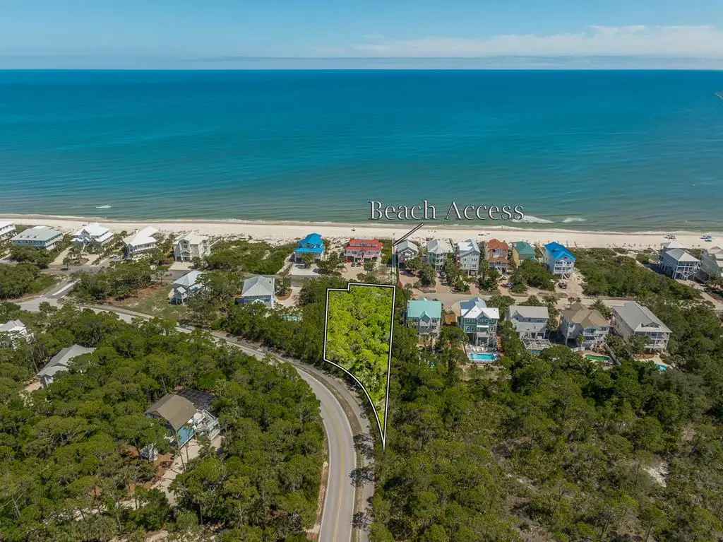 2152 Palmetto Way, Saint George Island, FL 32328 - #1