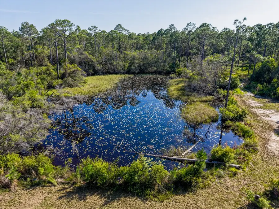 321 Baywood Dr, Carrabelle, FL 32322 - #3