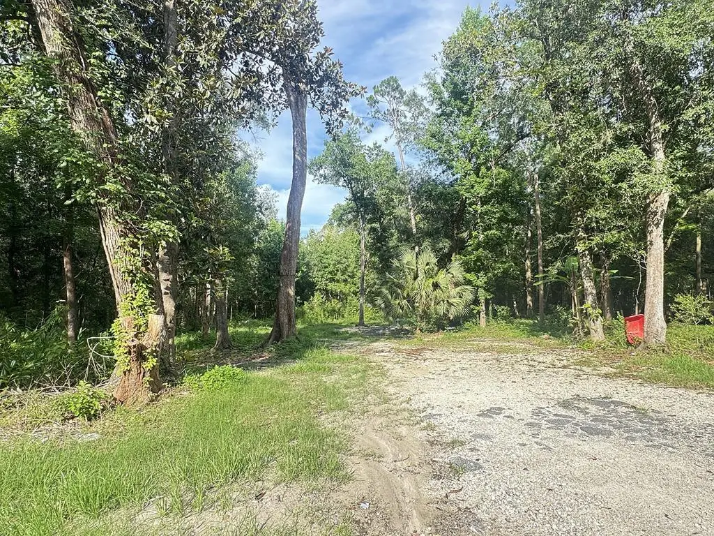 246 Mcglon Dr, Wewahitchka, FL 32465 - #1