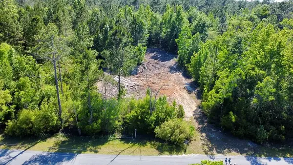 Lot 2 Old Bay City Rd, Wewahitchka, FL 32465