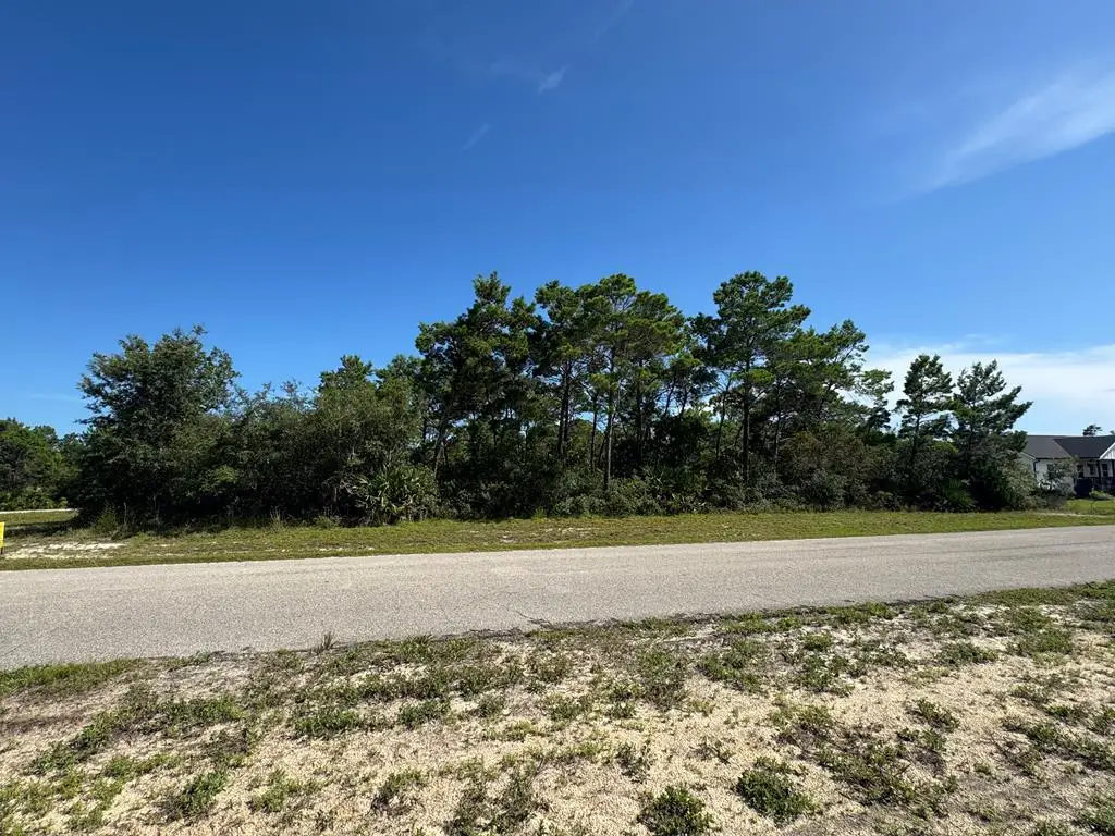 303 Hibiscus Ln, Eastpoint, FL 32328 - #1