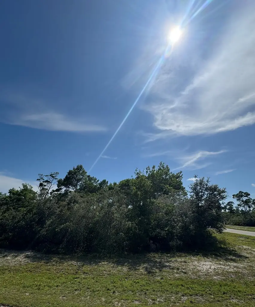 303 Hibiscus Ln, Eastpoint, FL 32328 - #3