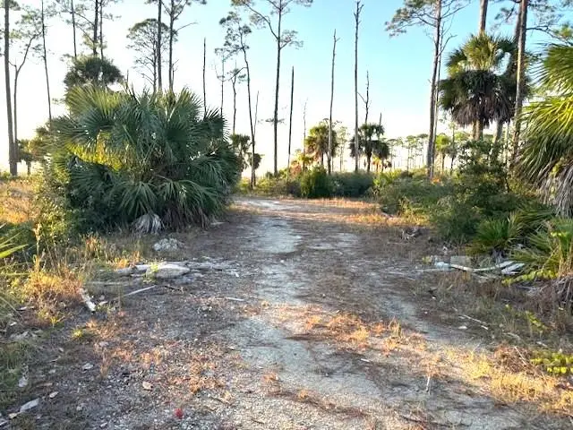 Lot 1 Sr 30-a, Port Saint Joe, FL 32456 - #3