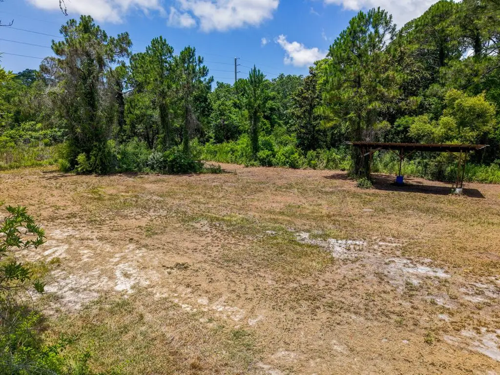 1007 Copesetic St, Carrabelle, FL 32322 - #1