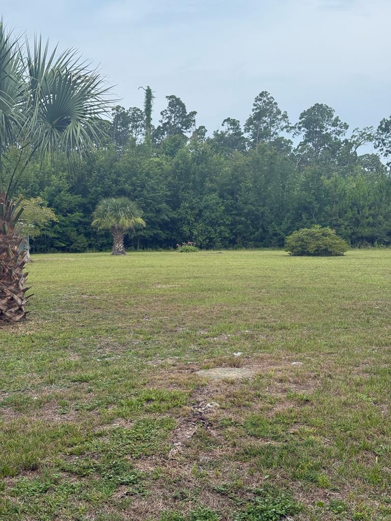 Lot 2 Oak Grove Ave, Port Saint Joe, FL 32456 - #1