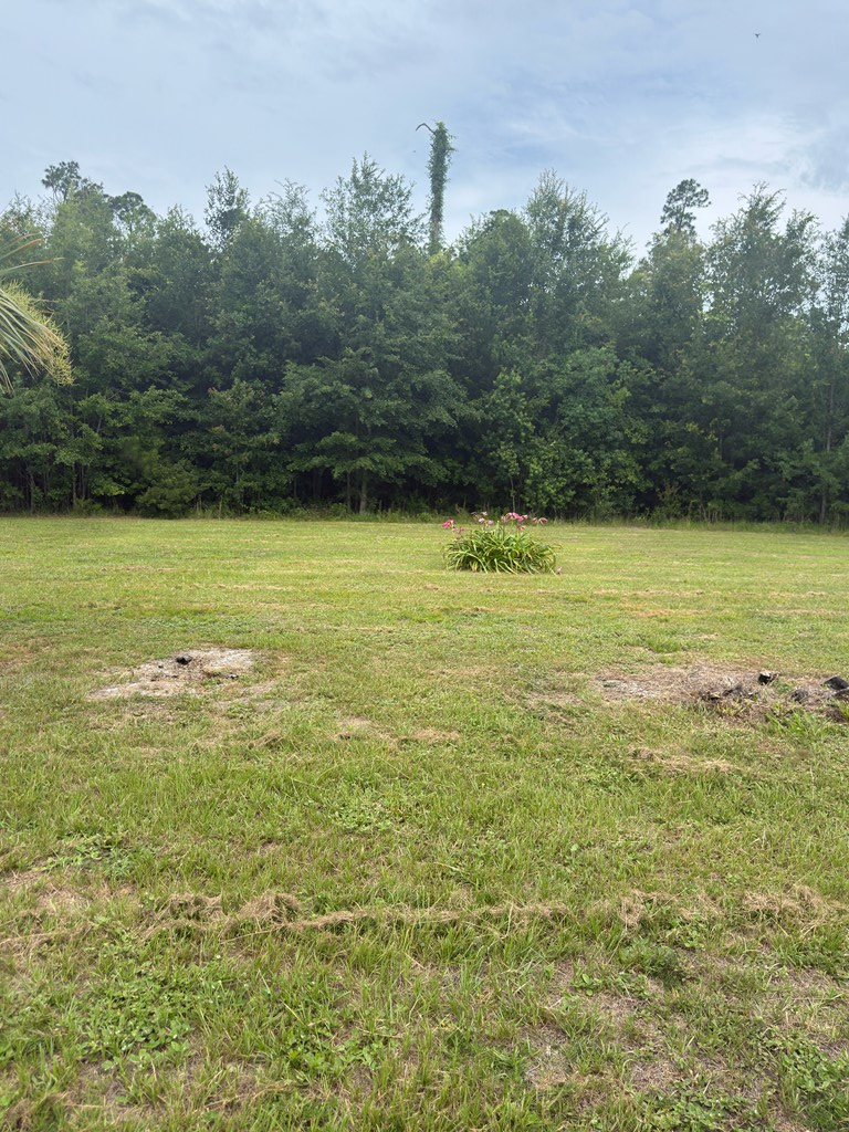 Lot 2 Oak Grove Ave, Port Saint Joe, FL 32456 - #2
