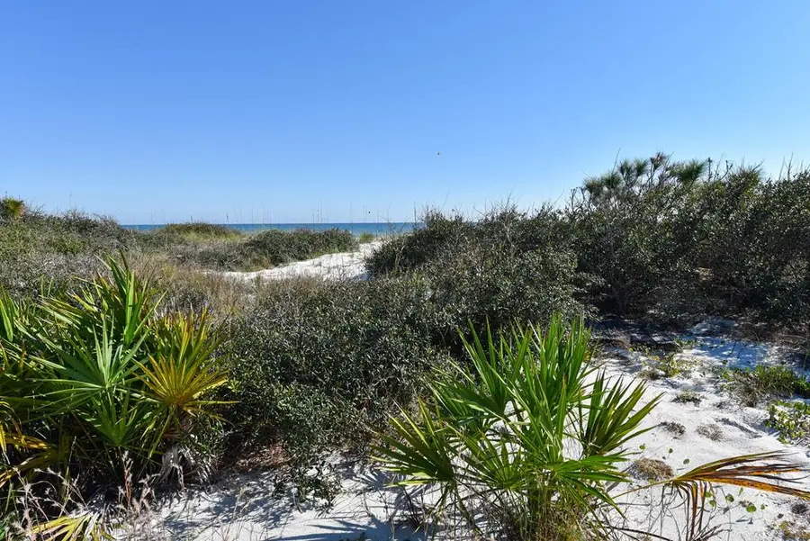 2116 Sea Fern Way, Saint George Island, FL 32328 - #3