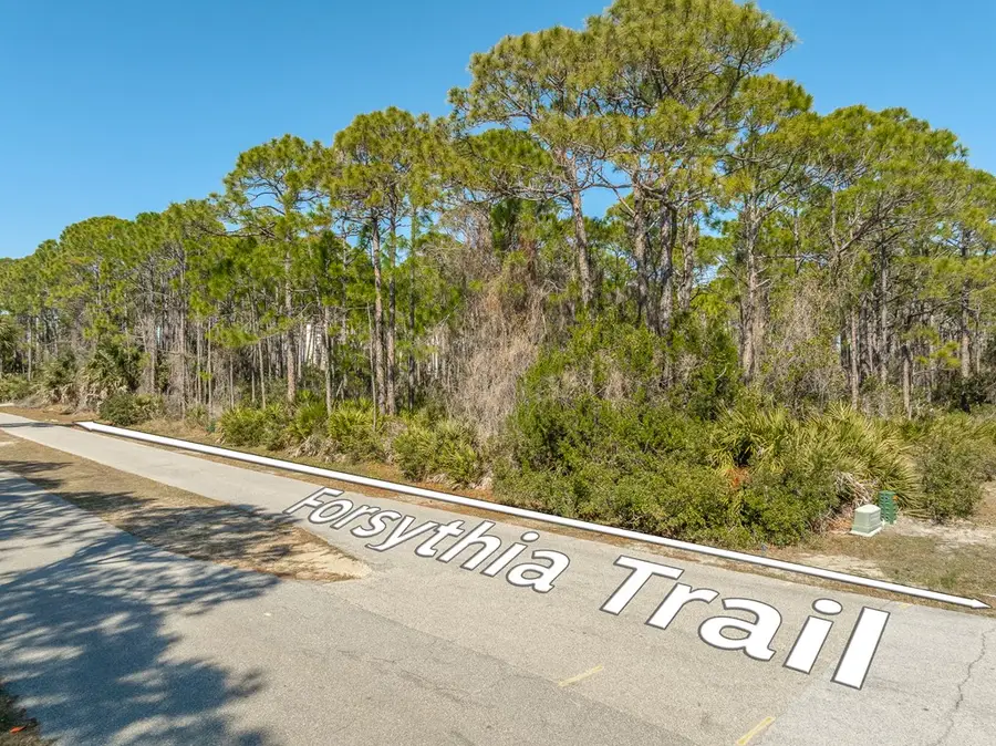 1601 Forsythia Trail, Saint George Island, FL 32328 - #3