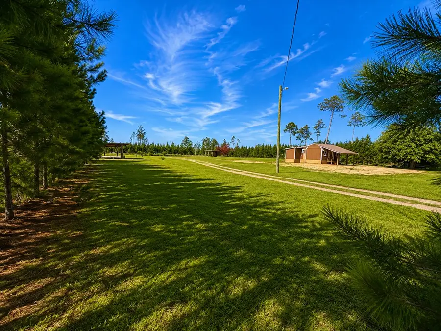 1386 Pleasant Rest Rd #1386, Wewahitchka, FL 32465 - #2