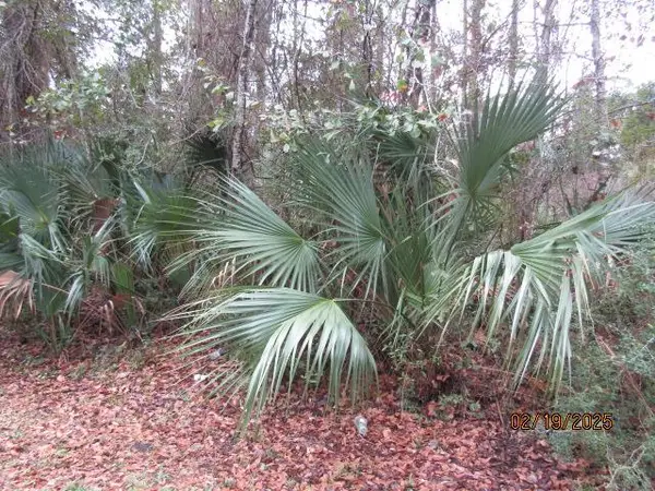 358 20th Ave, Apalachicola, FL 32320