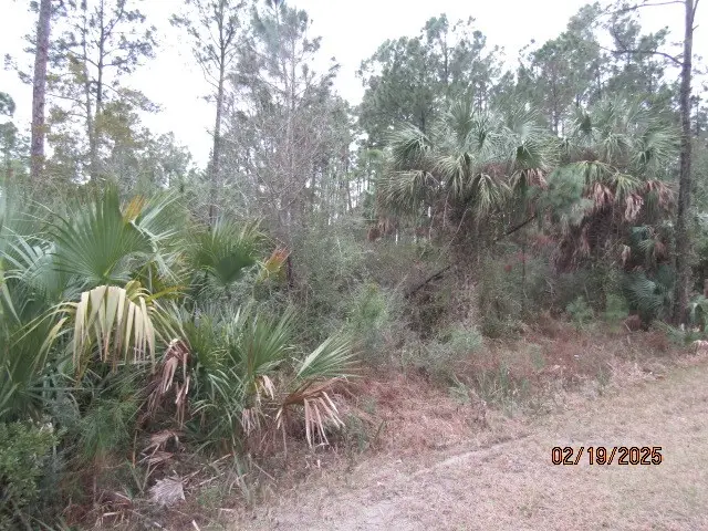 110 24th Ave, Apalachicola, FL 32320 - #2