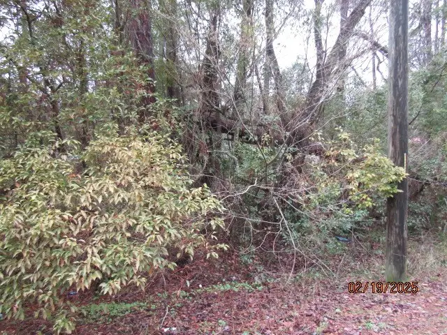 110 24th Ave, Apalachicola, FL 32320 - #3