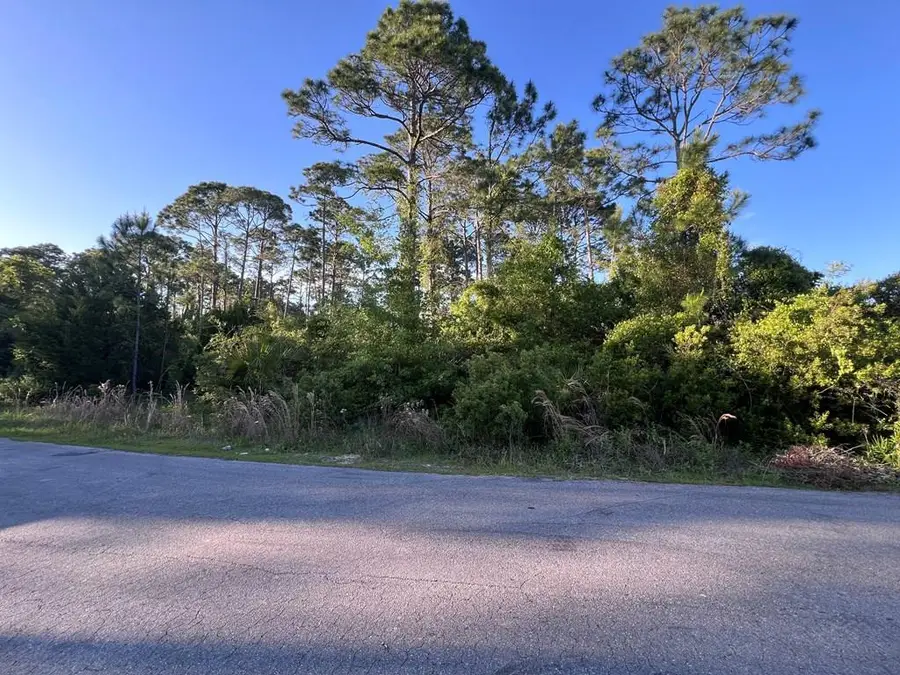 14 Stone Dr, Port Saint Joe, FL 32456 - #2