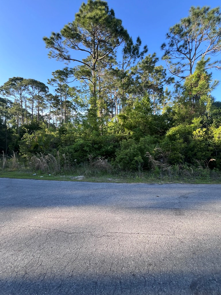 14 Stone Dr, Port Saint Joe, FL 32456 - #3