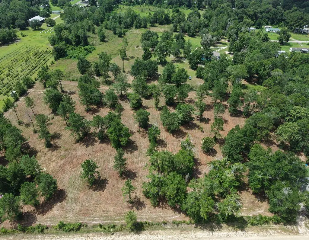 0 Corn Griffin St, Wewahitchka, FL 32465 - #1