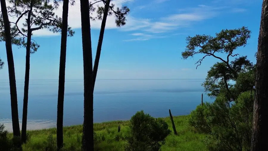 3206 Hwy 98 E, Carrabelle, FL 32323 - #2