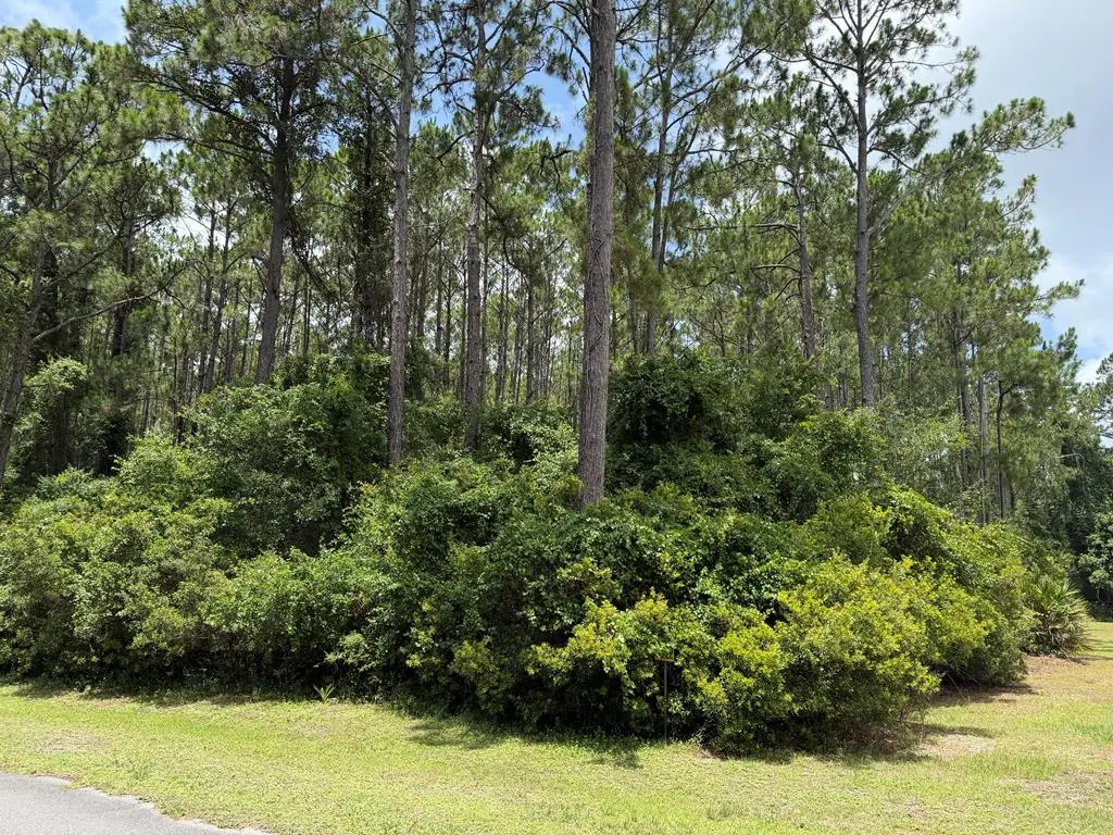 241 Boncycle Land Dr, Eastpoint, FL 32328 - #1