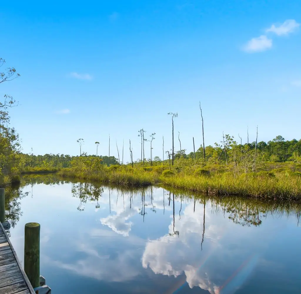 1921 Hwy 65, Eastpoint, FL 32328 - #1