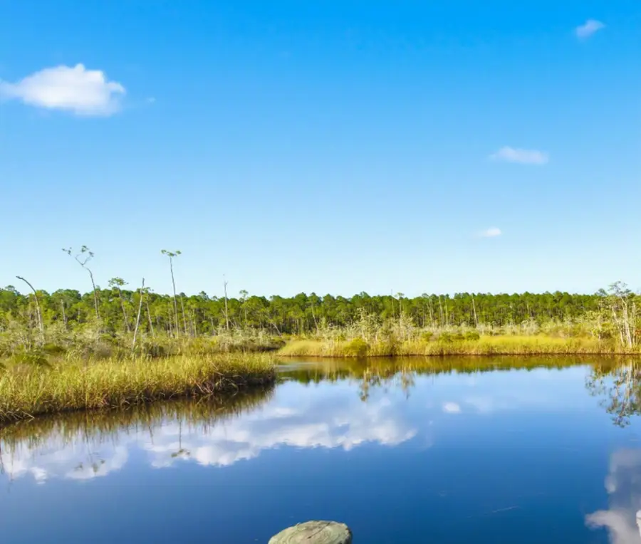 1901 Hwy 65, Eastpoint, FL 32328 - #2