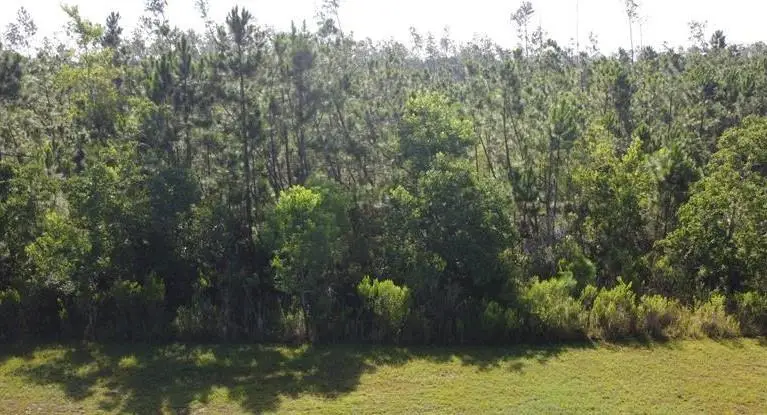 817 Wide Water Cir, Wewahitchka, FL 32465 - #1
