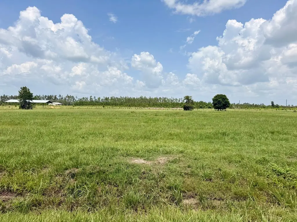 Lot 14 Harmony St, Wewahitchka, FL 32465 - #1