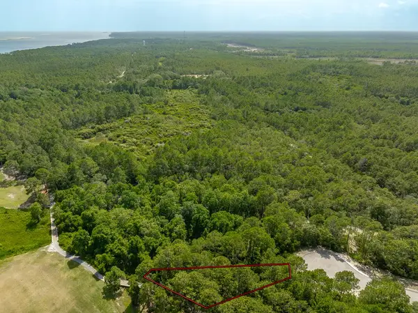 134 Spoonbill Ct, Carrabelle, FL 32323