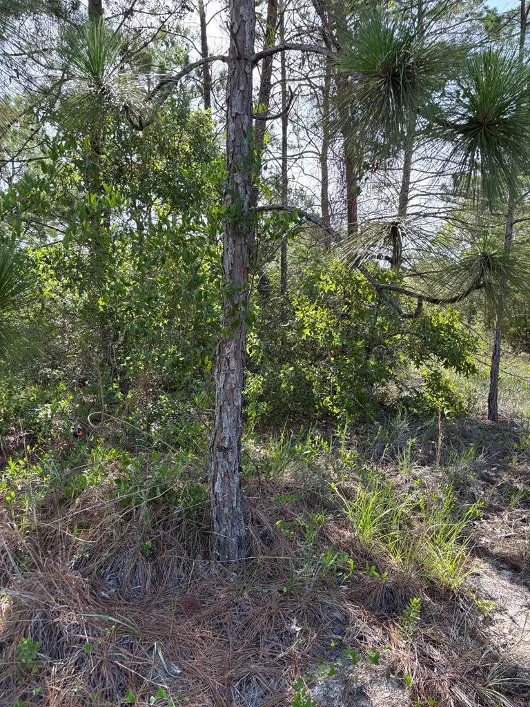 160 Anhinga Trl, Carrabelle, FL 32323 - #2
