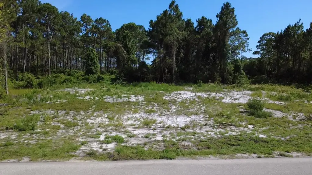 Lots 6-8 Ne Ave H, Carrabelle, FL 32322 - #1