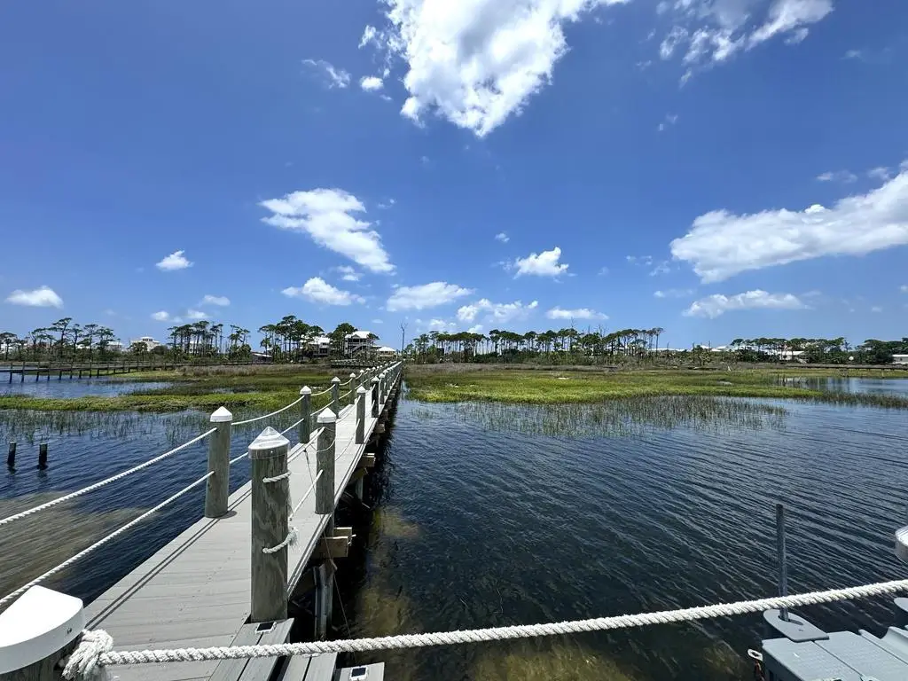 4244 Cape San Blas Rd, Cape San Blas, FL 32456 - #1