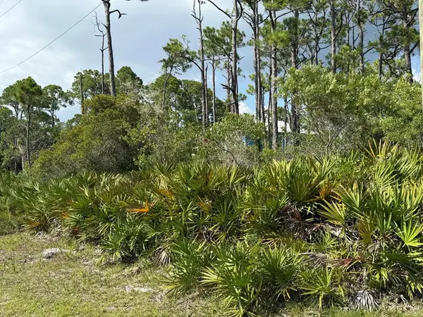 741 W Bay Shore Dr, St. George Island, FL 32328