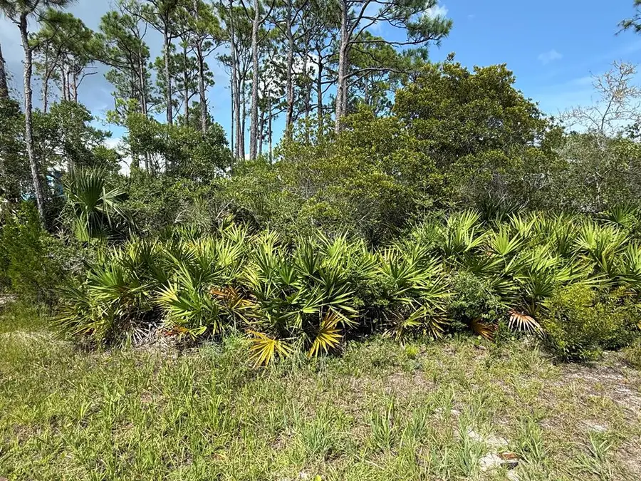741 W Bay Shore Dr, Saint George Island, FL 32328 - #2