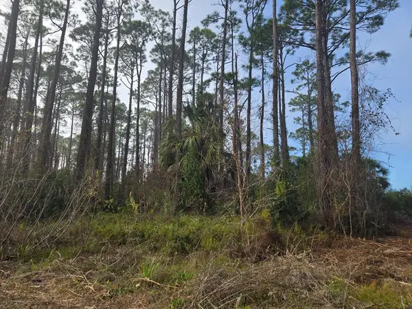 0 Eventide Dr, Port St. Joe, FL 32456