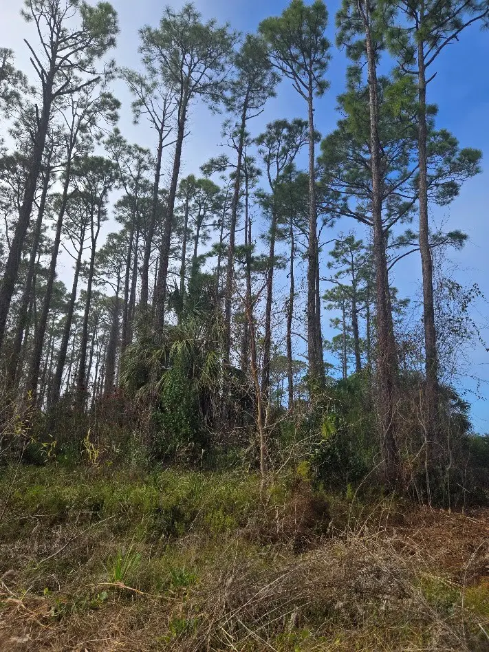 0 Eventide Dr, Port Saint Joe, FL 32456 - #3