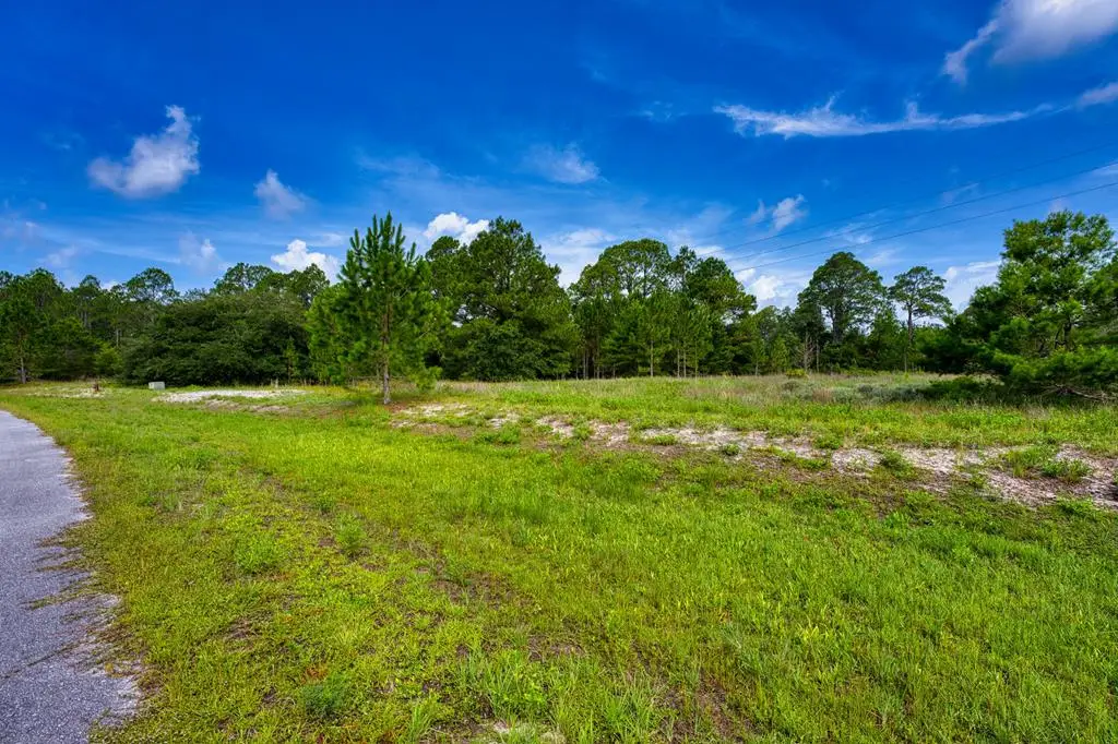 359 Gramercy Plantation Blvd, Eastpoint, FL 32328 - #1
