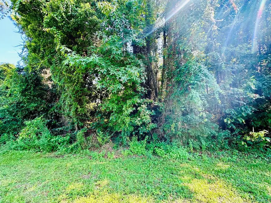 218 Highway 98, Eastpoint, FL 32328 - #3