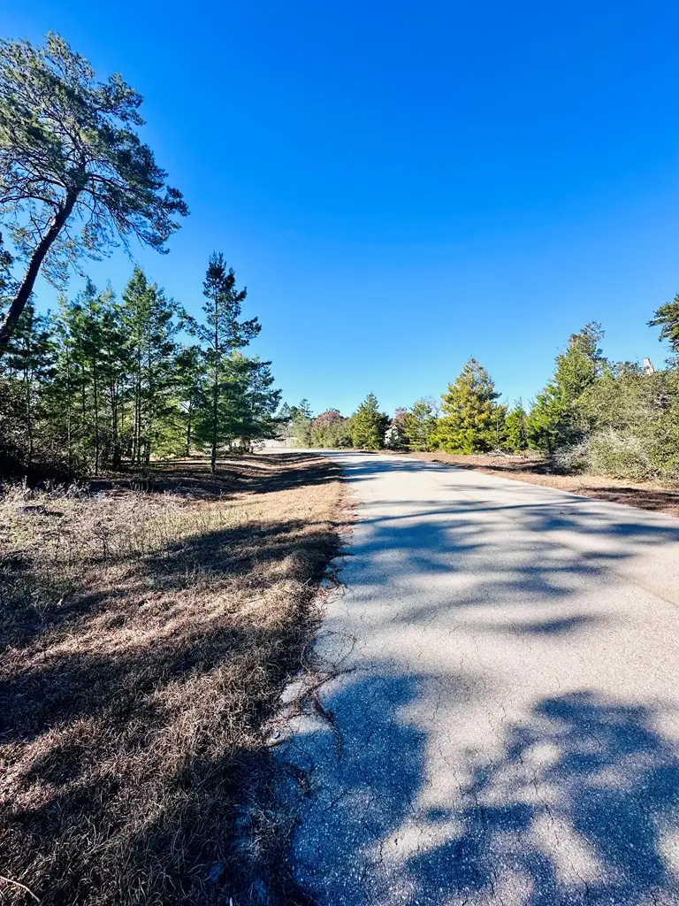 230 Lake Pristine Cir, Carrabelle, FL 32322 - #2