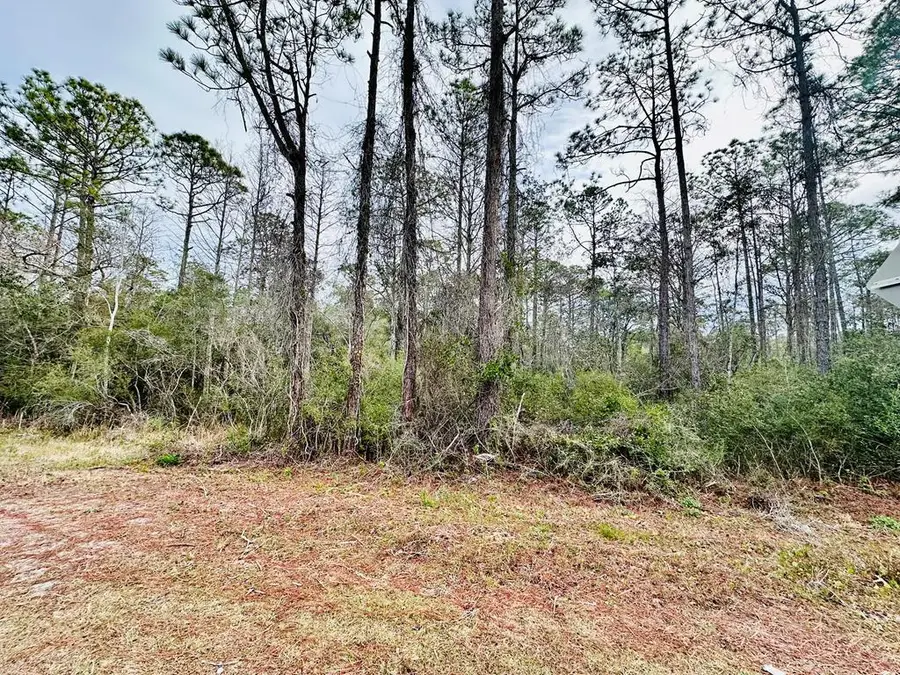 1546 Hwy 67, Carrabelle, FL 32322 - #2