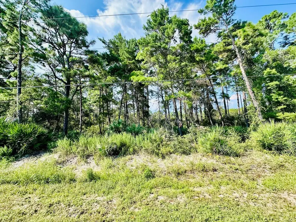 271 Twin Lakes Rd, Eastpoint, FL 32328 - #1