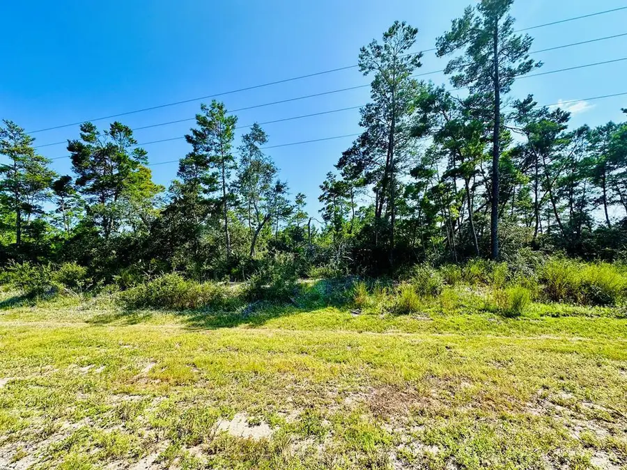 178 Airport Rd, Carrabelle, FL 32322 - #2