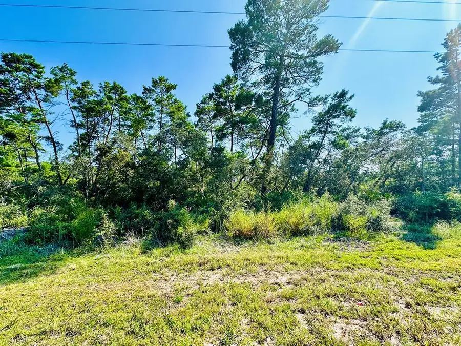 182 Airport Rd, Carrabelle, FL 32322 - #2